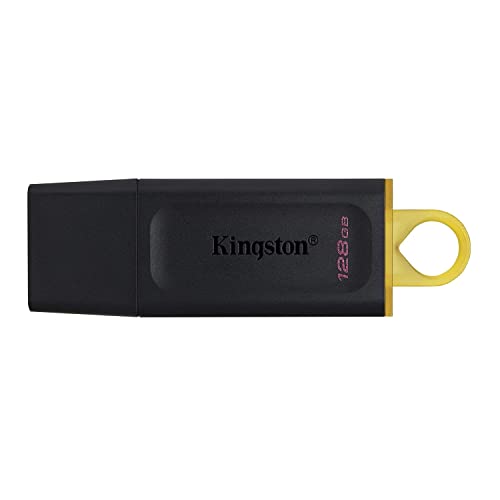 Kingston Penna Usb