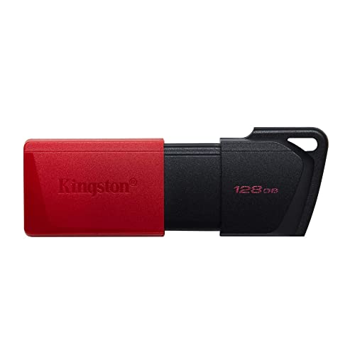 Kingston Penna Usb