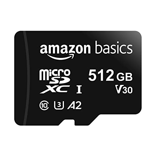 Amazon Basics Micro Sd