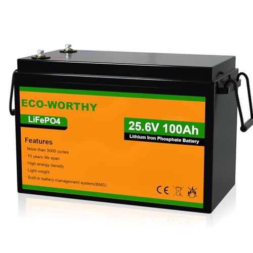 Eco-Worthy Batteria Al Litio