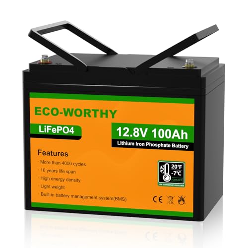 Eco-Worthy Batteria Al Litio