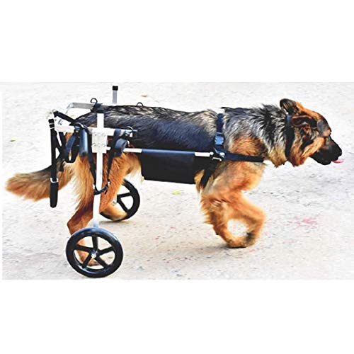 Syth Carrello Per Cani Disabili