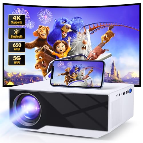 Wielio Home Cinema