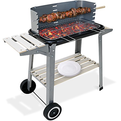 Gardebruk Barbecue A Carbone