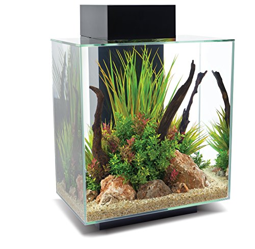 Fluval Acquario Verticale