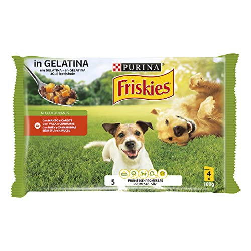 Friskies Cibo Per Cani